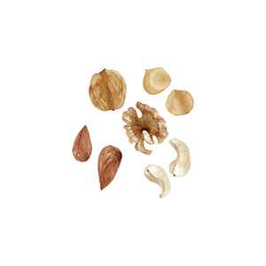 ナッツハニー に使われている、くるみ・カシューナッツ・アーモンド・マカダミアナッツのイラスト。