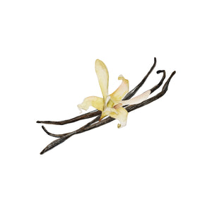 バニラビーンハニー 国産 はちみつの通販 | EIGHT CROWNS