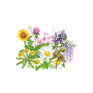 ワイルドフラワーハニー 百花蜜 国産 はちみつの通販 | EIGHT CROWNS