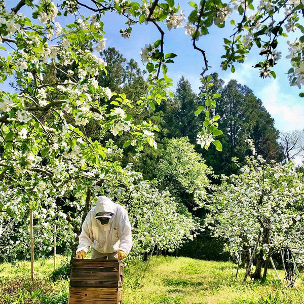 Apple Blossom Honey